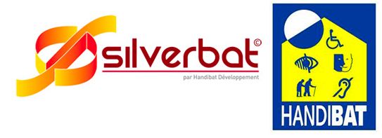 silverbat-handibat-condado